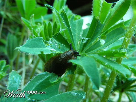 Photography by Feature