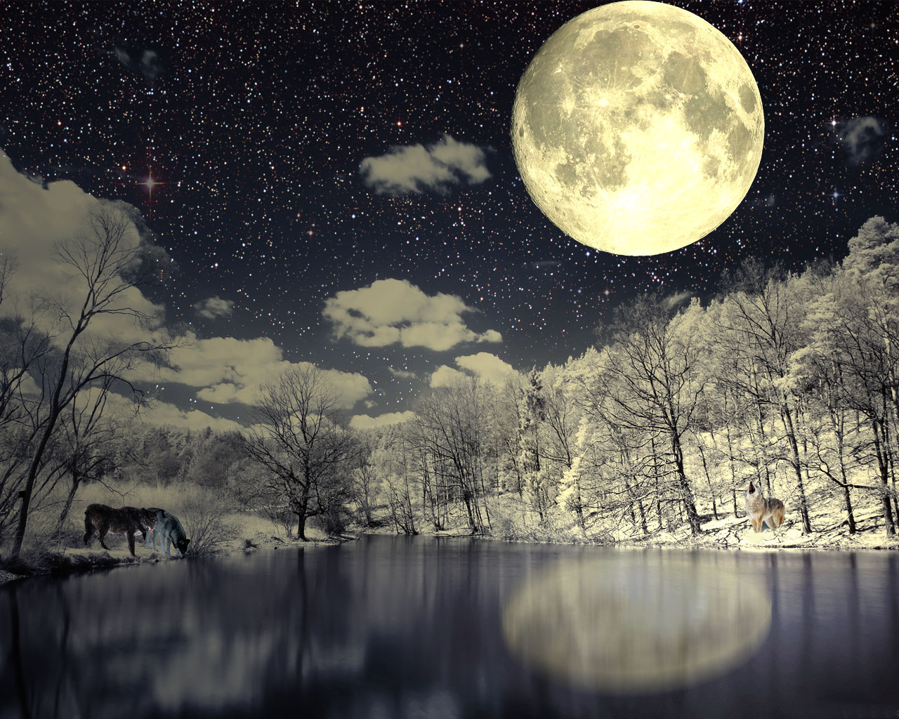Photoshop Design by pochiex2 for DesignCrowd (Community Contests) | Design #8941186