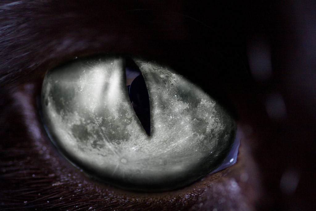 Photoshop Design by kida13 for DesignCrowd (Community Contests) | Design #8941180