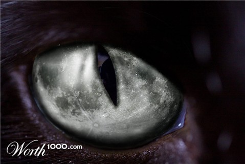 Photoshop Design by kida13