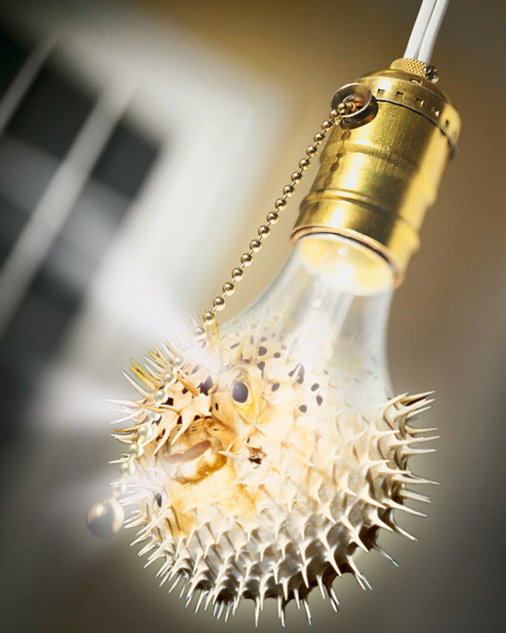 Photoshop-Design von paulrs00 für DesignCrowd (Community Contests) | Design #8941118