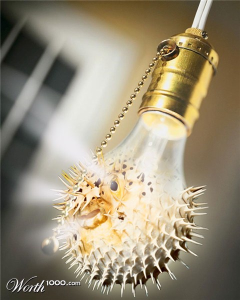 Photoshop Design by paulrs00