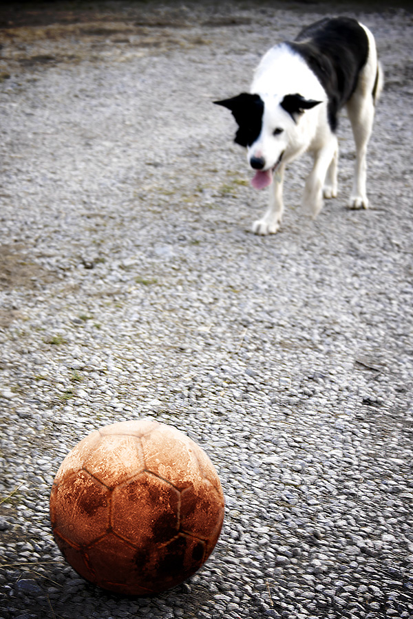 Photoshop-Design von DaemonDCLXVI für DesignCrowd (Community Contests) | Design #8941264