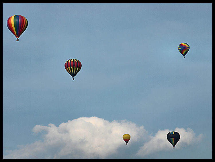 Photography by daisyloubob for DesignCrowd (Community Contests) | Design #8936035