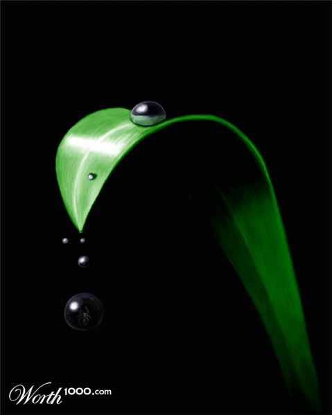 Illustration Design by BuggaBugga