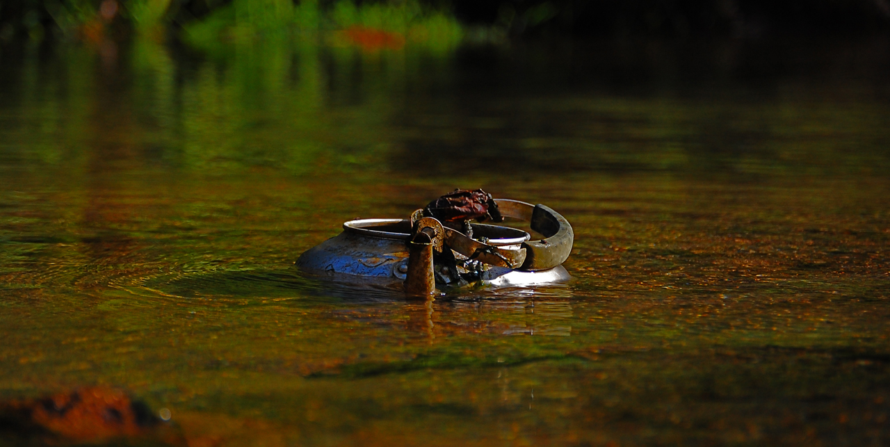 Fotografie von flypart für DesignCrowd (Community Contests) | Design #8939228