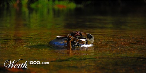 Photography by flypart