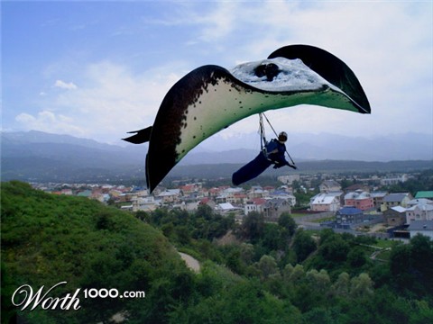 Photoshop Design by pochiex2