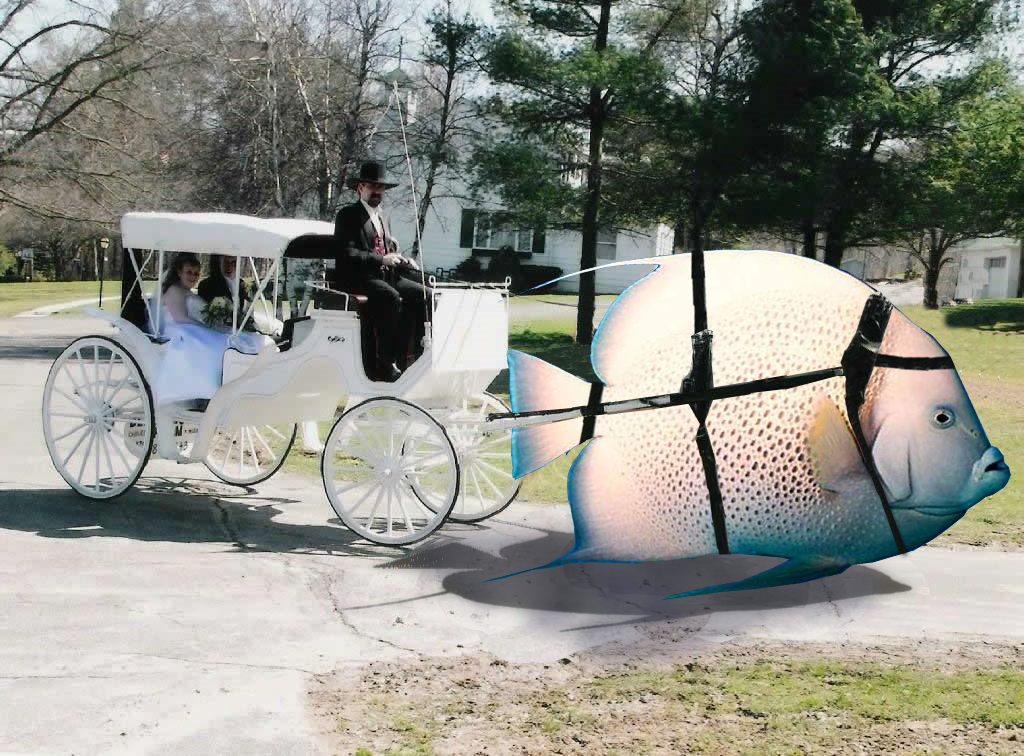 Diseño de Photoshop por tor1xo para DesignCrowd (Community Contests) | Diseño #8941143