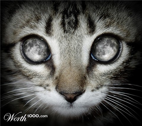 Photoshop Design by curi222