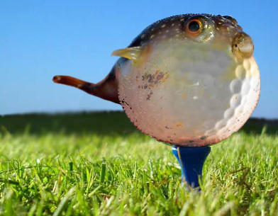 Design Photoshop par fouljack pour DesignCrowd (Community Contests) | Design #8941213