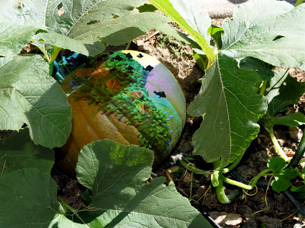 Photoshop Design by videodiver for DesignCrowd (Community Contests) | Design #8941238