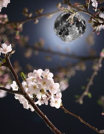 Photoshop Design by cigariscigar for DesignCrowd (Community Contests) | Design #8941458