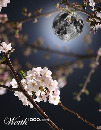 Photoshop Design by cigariscigar