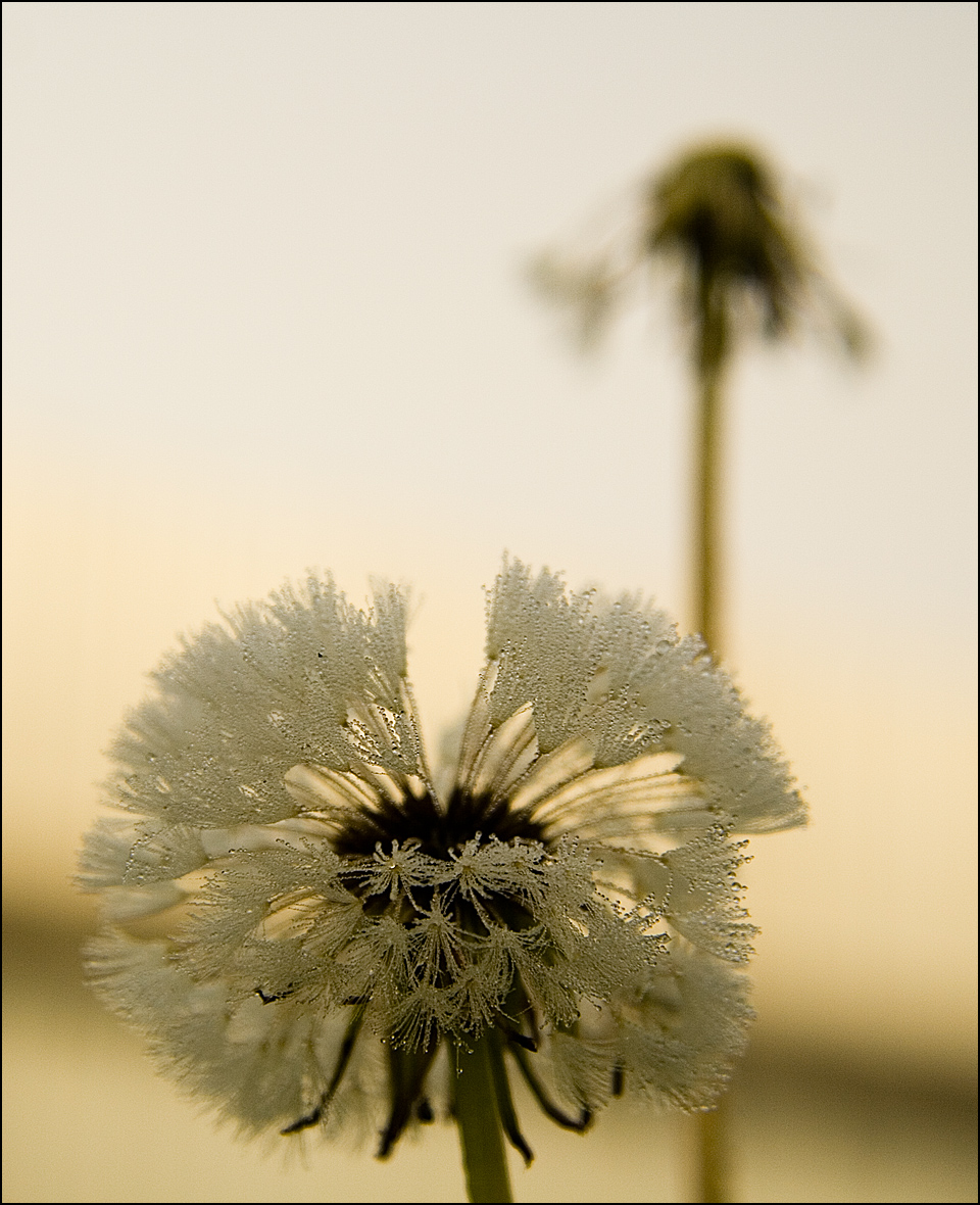 Fotografía por ahutty para DesignCrowd (Community Contests) | Diseño #8939176