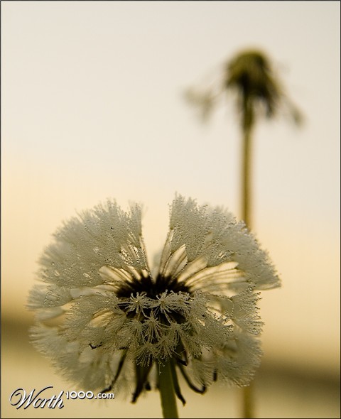 Photography by ahutty