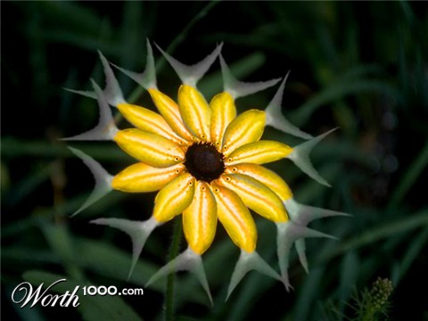 Photoshop Design by crescent7