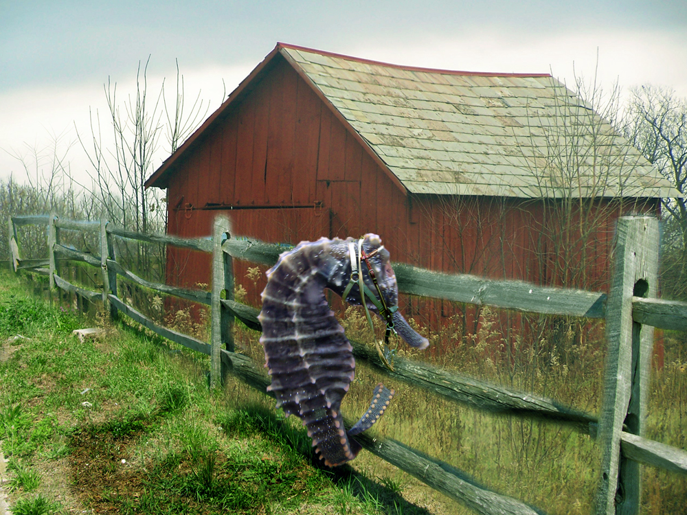 Photoshop Design by hazelann for DesignCrowd (Community Contests) | Design #8941245