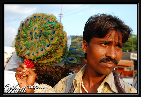 Photography by KUMAR44