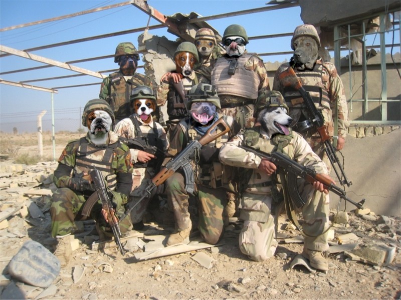 Photoshop Design by cerberus311 for DesignCrowd (Community Contests) | Design #8941311