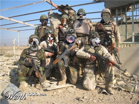 Photoshop Design by cerberus311