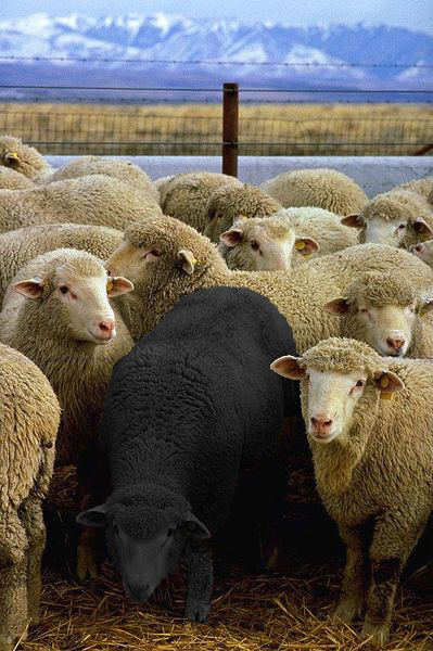 Photoshop Design by Mordey for DesignCrowd (Community Contests) | Design #8941354