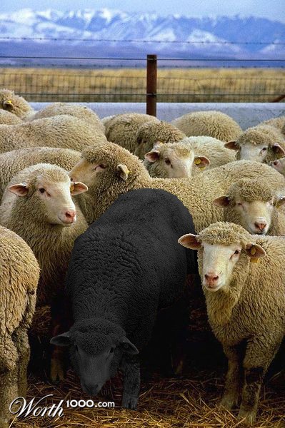 Photoshop Design by Mordey