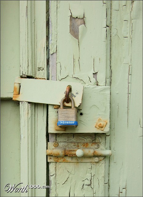 Photography by Francoise