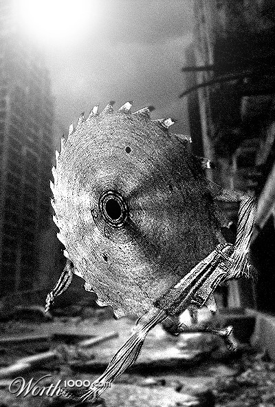 Photoshop Design by AKIRASKANEDA