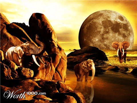 Photoshop Design by anavrin2009