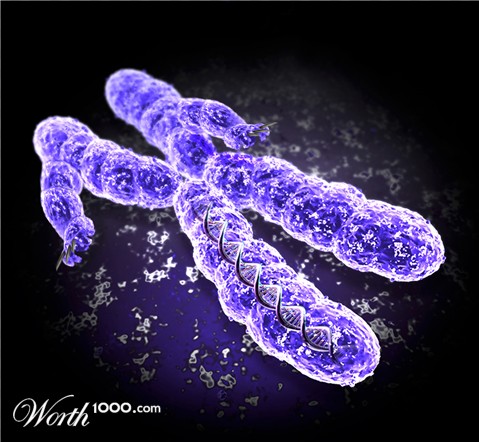 Photoshop Design by visualX