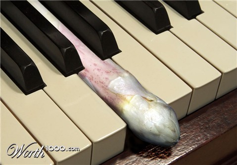 Photoshop Design by Troetti