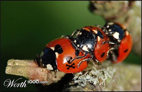 Photoshop Design by swichone