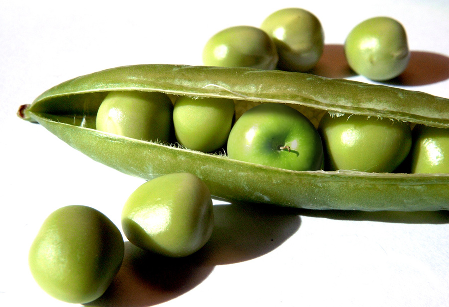 Diseño de Photoshop por GeshaR para DesignCrowd (Community Contests) | Diseño #8942715