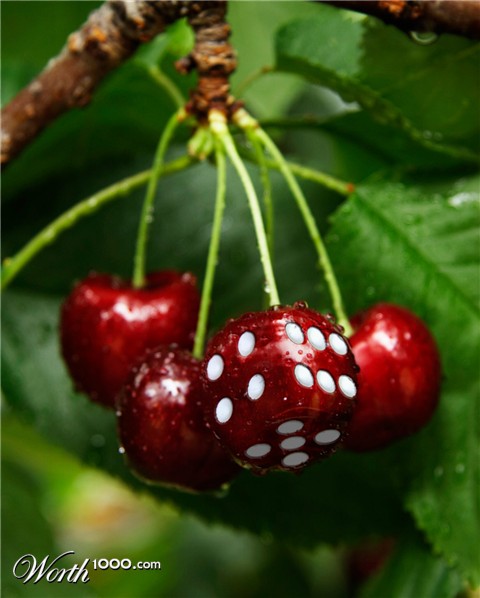 Photoshop Design by castiza