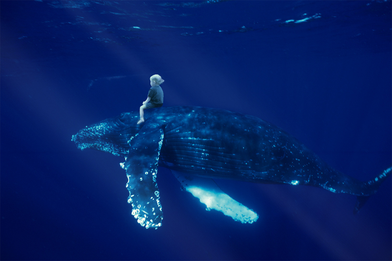 Photoshop Design by knutmaurset for DesignCrowd (Community Contests) | Design #8941485