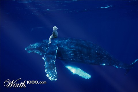 Photoshop Design by knutmaurset