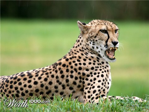 Photoshop Design by aebublitz