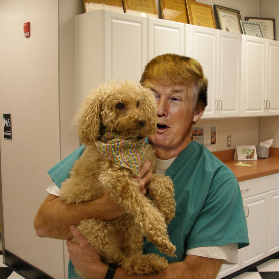 Photoshop Design by snakebit for DesignCrowd (Community Contests) | Design #8941191