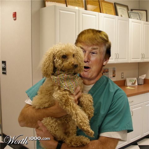 Photoshop Design by snakebit