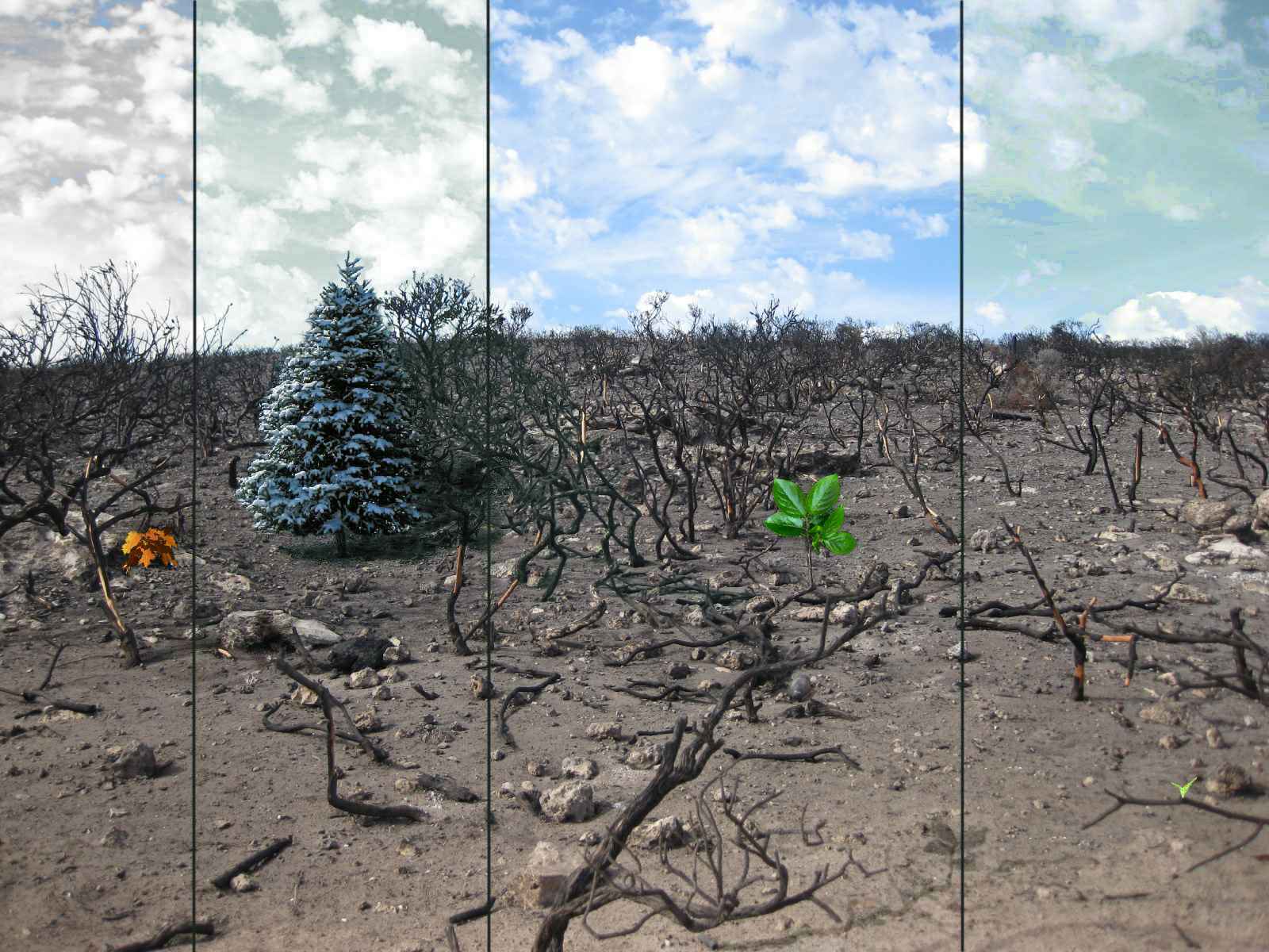 Diseño de Photoshop por graxxxz para DesignCrowd (Community Contests) | Diseño #8940368