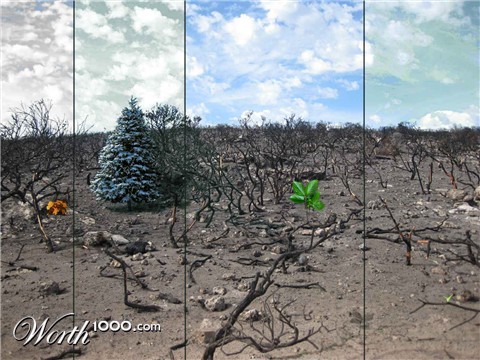 Photoshop Design by graxxxz