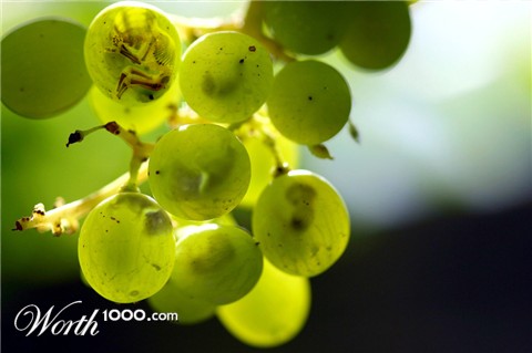 Photoshop Design by Trash63