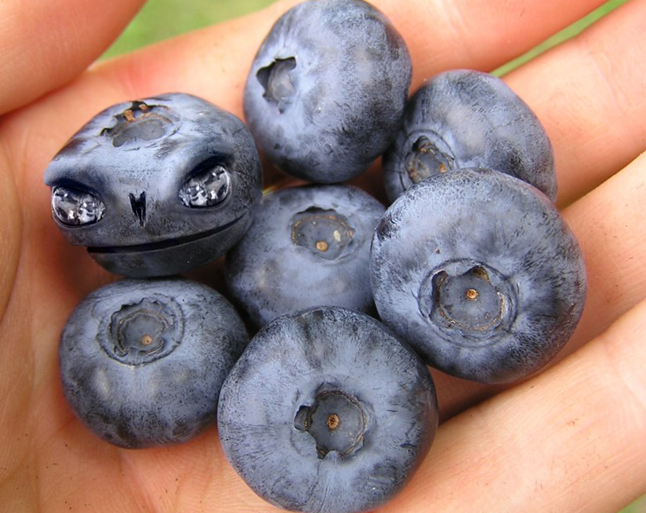 Photoshop Design by Nonian for DesignCrowd (Community Contests) | Design #8942847