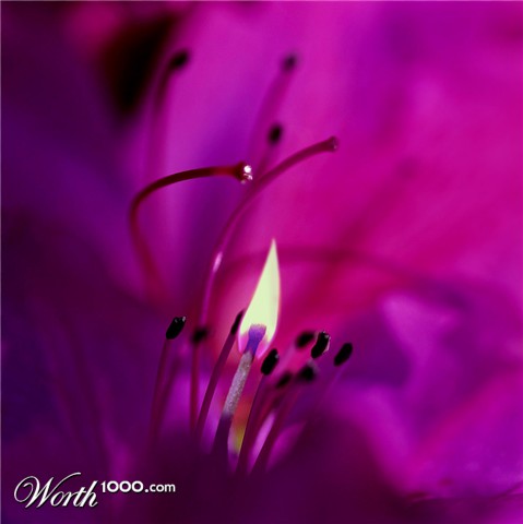 Photoshop Design by Paulabruann