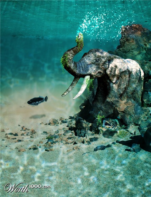 Photoshop Design by Troetti