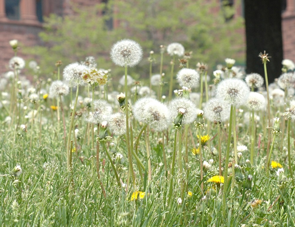 Photoshop Design by Belgabor for DesignCrowd (Community Contests) | Design #8942952