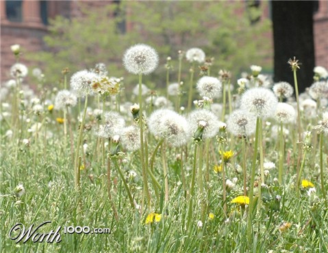 Photoshop Design by Belgabor