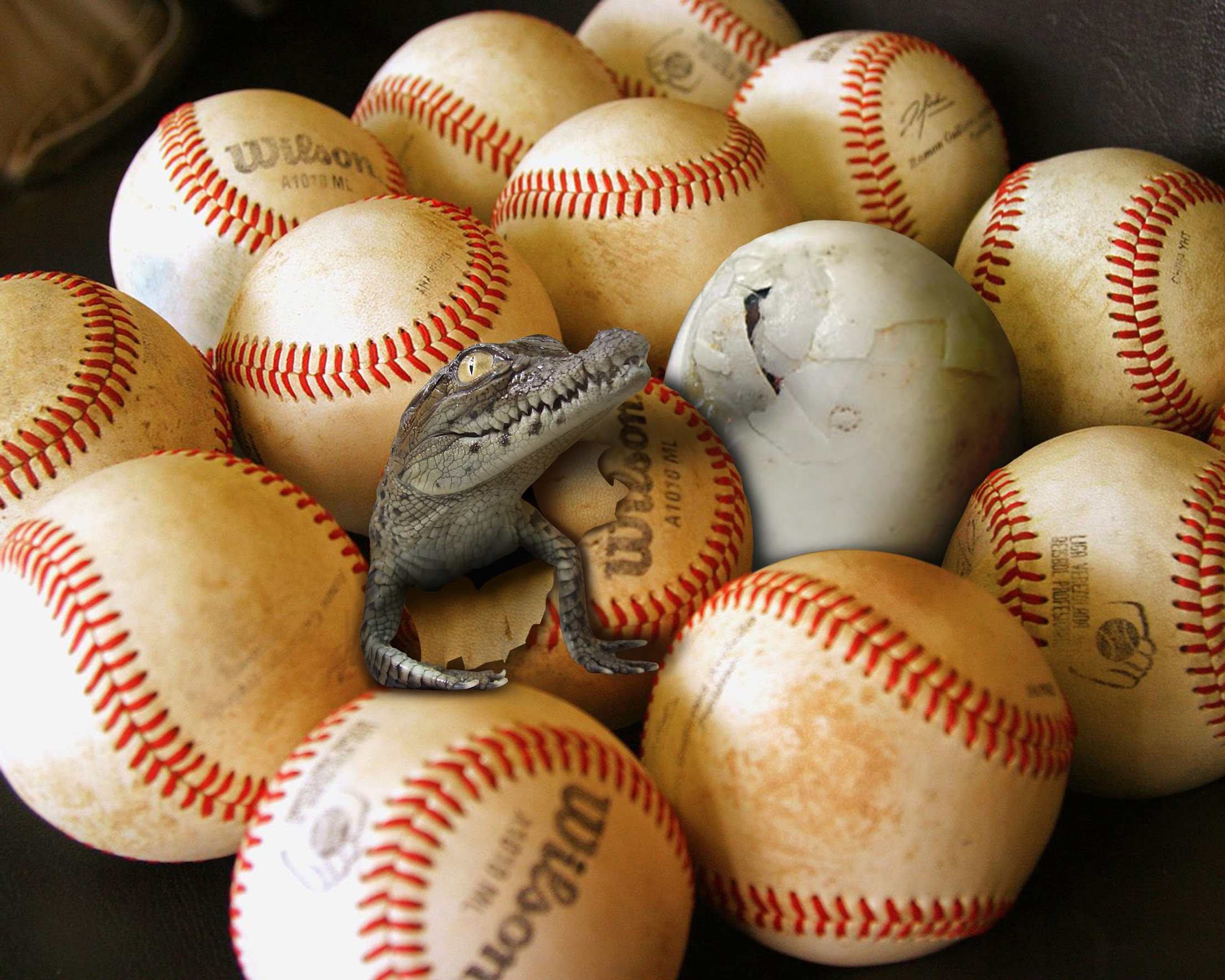 Photoshop-Design von PixelTestMT für DesignCrowd (Community Contests) | Design #8942898