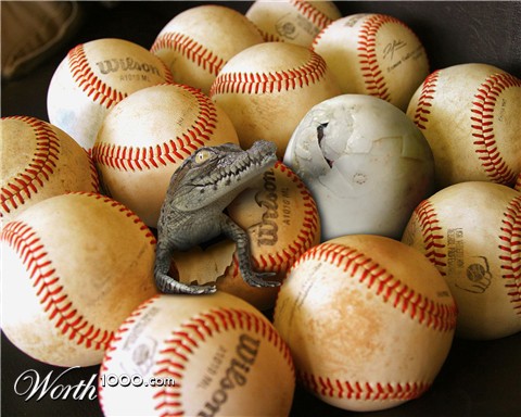 Photoshop Design by PixelTestMT